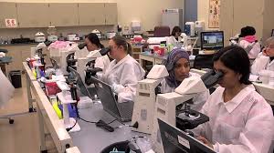 Top Paramedical Courses